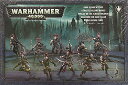 ボードゲーム 英語 アメリカ 海外ゲーム Games Workshop Warhammer 40,000 Dark Eldar Wyches Miniaturesボードゲーム 英語 アメリカ ..