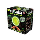 ボードゲーム 英語 アメリカ 海外ゲーム Idea Village Fushigi Limited Edition Glow in The Dark Ballボードゲーム 英語 アメリカ 海外ゲーム