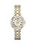 ӻ ƥ ǥ Tissot Womens Bellissima Small Lady 316L Stainless Steel case with Yellow Gold PVD Coating Quartz Watch, Grey/Yellow, Stainless Steel, 4 (T1260102201300)ӻ ƥ ǥ