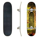 ロングスケートボード スケボー 海外モデル 直輸入 EFTOWEL Skateboards Fantasy Doorway Stock Illustration...