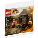レゴ LEGO Jurassic World Dinosaur Market 30390レゴ