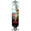 󥰥ȥܡ ܡ ǥ ľ͢ Yocaher Drop Down Pro Longboard Complete Cruiser Downhill Freestyle Freeride Skateboard (RTE 66)󥰥ȥܡ ܡ ǥ ľ͢