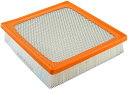 自動車パーツ 海外社外品 修理部品 FRAM Extra Guard CA10755 Replacement Engine Air Filter for Sel...