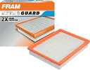 自動車パーツ 海外社外品 修理部品 FRAM Extra Guard CA6479 Replacement Engine Air Filter for Sele...