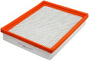 自動車パーツ 海外社外品 修理部品 FRAM Extra Guard CA10191 Replacement Engine Air Filter for Sel...