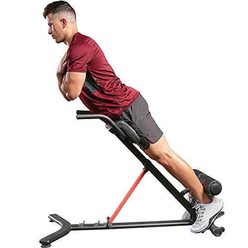 ヨガブロック フィットネス Sunny Health & Fitness Hyperextension incline,flat Roman Chair with Dip Station - SF-BH620062 , Blackヨガブロック フィットネス