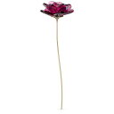 スワロフスキー クリスタル 置物 オーナメント SWAROVSKI Swarovski Garden Tales Rose Red One Sizeスワロフスキー クリスタル 置物 オーナメント SWAROVSKI
