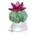 スワロフスキー クリスタル 置物 オーナメント SWAROVSKI SWAROVSKI Crystal Flowers Bordeaux Cactusスワロフスキー クリスタル 置物 オーナメント SWAROVSKI