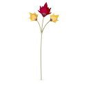 スワロフスキー クリスタル 置物 オーナメント SWAROVSKI Swarovski Autumn Leaves Single Flower, Coloure...
