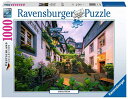 ジグソーパズル 海外製 アメリカ Ravensburger 16751 Adult Puzzleジグソーパズル 海外製 アメリカ