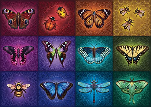 ѥ  ꥫ Ravensburger Winged Things 1000 Piece Jigsaw Puzzle for Adults - 16818 - Every Piece is Unique, Softclick Technology Means Pieces Fit Together Perfectly, Multicolor, 27 x 20ѥ  ꥫ