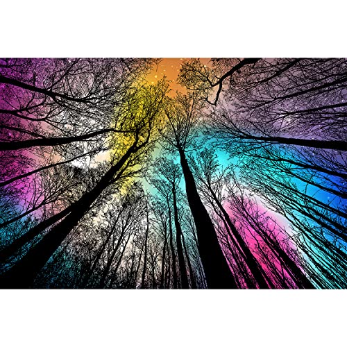 楽天angelicaジグソーパズル 海外製 アメリカ Bgraamiens Puzzle-Forest Under Starry Night-1000 Pieces Gradient Magic Colorful Puzzle for Adult,Hard Challenge Puzzle for Adultジグソーパズル 海外製 アメリカ