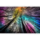 ジグソーパズル 海外製 アメリカ Bgraamiens Puzzle-Forest Under Starry Night-1000 Pieces Gradient Magic Colorful Puzzle for Adult,Hard Challenge Puzzle for Adultジグソーパズル 海外製 アメリカ