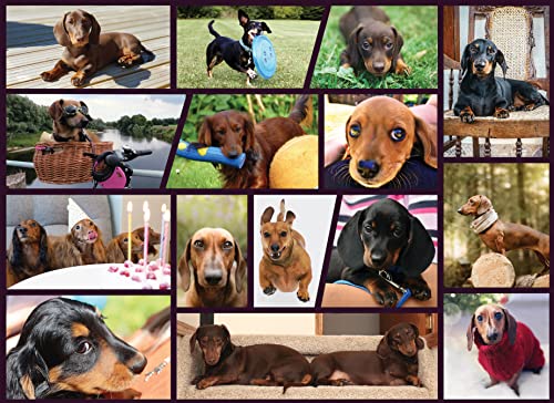 商品情報 商品名ジグソーパズル 海外製 アメリカ Better Me Adorable Dachshund Puzzle 100 Piece Puzzles for Kids - Kids Puzzles Fun Childrens Doxie Dog Jigsaw Puzzles Activityジグソーパズル 海外製 アメリカ 商品名（英語）Better Me Adorable Dachshund Puzzle 100 Piece Puzzles for Kids - Kids Puzzles Fun Childrens Doxie Dog Jigsaw Puzzles Activity 商品名（翻訳）愛らしいダックスフンドパズル100ピースパズル - 子供のパズル楽しい子供ドクシー犬ジグソー活動 型番Adorable Dachshunds 100 Piece 海外サイズ100 Piece Puzzle ブランドBetter Me 商品説明（自動翻訳）前のページへベター・ミーはインスピレーション、エンパワーメント、そして楽しさを提供します。自己啓発、人間関係の強化、笑顔と笑いをもたらすユニークな商品を作っています。ゲーム、カードセット、ジグソーパズルなど、変身系からバカバカしいものまで、ぜひお楽しみください。ご質問やご意見がありましたら、お気軽にご連絡ください。）-ダン・オドネル、創設者 私たちの始まりは？すべては「ベター・ミー」、成長のゲームから始まりました。私は、人々が共に成長し、お互いをサポートし合えるような自己啓発ボードゲームのビジョンを持っていました。 当社の製品の特徴は？私たちの製品は、深遠なものから誠実なもの、おふざけで楽しいものまでさまざまですが、どれも人々をひとつにするものです。私たちは、お客さまが成長するだけでなく、みんなと笑顔で笑い合えるようにサポートすることで、お客さまの人生をより良いものにしたいと考えています。 私たちはどのような問題を解決しているのでしょうか？私たちは人々をひとつにし、考え、成長させ、互いに感謝し、笑い合います。あなたがより豊かに生きるために... 商品紹介 店舗へ 次のページへ 関連キーワードジグソーパズル,海外製,アメリカこのようなギフトシーンにオススメです。プレゼント お誕生日 クリスマスプレゼント バレンタインデー ホワイトデー 贈り物