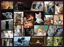 angelica㤨֥ѥ  ꥫ Better Me Cuddly Cats 500 Piece Jigsaw Puzzle - Cat Puzzle for Cat Lovers, 500 Piece Puzzles for Adults & All Ages Fun Family Puzzle Activityѥ  ꥫפβǤʤ11,780ߤˤʤޤ