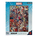 ジグソーパズル 海外製 アメリカ AQUARIUS Marvel Spider-Man Heroes Puzzle (3000 Piece Jigsaw Puz...