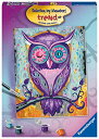 ジグソーパズル 海外製 アメリカ Ravensburger Dreamy Owl Paint by Numbers Kit for Children - Painting Arts and Crafts for Kids Age 12 Years Up, Purpleジグソーパズル 海外製 アメリカ