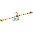 ボディキャンディー ピアス アメリカ 日本未発売 ブランド Body Candy Womens 14G PVD Steel Helix Cartilage Ea...