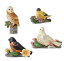 ͥ Enesco ʪ ƥꥢ ǥ ꥫ Jim Shore Heartwood Creek Spring Birds Bundle of 4: Dove 6010283, Goldfinch 6010282, Baltimore Oriole 6010281, Barn Owl 6010444 Figurine Setͥ Enesco ʪ ƥꥢ ǥ ꥫ