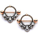 ボディキャンディー ピアス アメリカ 日本未発売 ブランド Body Candy 2Pc 14G Nipplerings Piercing Women Plated Steel Rosy Clear Accent Nipple Shield Nipple Rings 5/8"ボディキャンディー ピアス アメリカ 日本未発売 ブランド