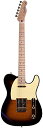フェンダー エレキギター 海外直輸入 0255202532 Fender Richie Kotzen Made in Japan Telecaster Elec...