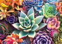 商品情報 商品名ジグソーパズル 海外製 アメリカ Buffalo Games - Simple Succulents - 300 Large Piece Jigsaw Puzzle for Adults Challenging Puzzle Perfect for Game Nights - 300 Large Piece Finished Puzzle Size is 21.25 x 15.00ジグソーパズル 海外製 アメリカ 商品名（英語）Buffalo Games - Simple Succulents - 300 Large Piece Jigsaw Puzzle for Adults Challenging Puzzle Perfect for Game Nights - 300 Large Piece Finished Puzzle Size is 21.25 x 15.00 商品名（翻訳）バッファローゲームズ - シンプルな多肉植物 - 大人のための300ラージピースジグソーパズル ゲームナイトに最適なパズルに挑戦 - 300ラージピース完成パズルサイズは21.25 x 15.00です。 型番22517 海外サイズLarge ブランドBuffalo Games 商品説明（自動翻訳）バッファローゲームズがお届けする「シンプル多肉植物」300ピースジグソーパズルで、リラックスと創造の旅に出かけましょう。多肉植物の癒しの世界に浸りながら、自然の静けさとパズルを解く楽しさを組み合わせた美しいデザインのパズルを完成させましょう。バッファローゲームスのパズルは、毎回「ピタッ」とハマるカッティングを採用しています。 関連キーワードジグソーパズル,海外製,アメリカこのようなギフトシーンにオススメです。プレゼント お誕生日 クリスマスプレゼント バレンタインデー ホワイトデー 贈り物