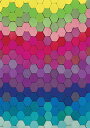 ジグソーパズル 海外製 アメリカ Buffalo Games - Lynn Haughton - Hexagon Multicolor - Large Piec...