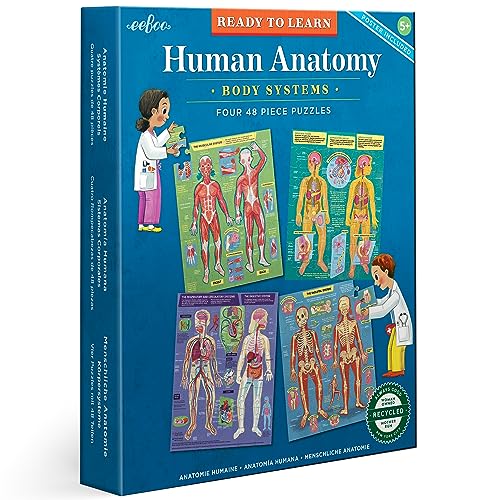 ジグソーパズル 海外製 アメリカ eeBoo: Ready to Learn: Human Anatomy 4-Puzzles - Body Systems Set of 4-48 Piece Jigsaws, Includes Educational Poster, Kids Ages 8+ジグソーパズル 海外製 アメリカ