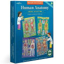 ジグソーパズル 海外製 アメリカ eeBoo: Ready to Learn: Human Anatomy 4-Puzzles - Body Systems Set of 4-48 Piece Jigsaws, Includes Educational Poster, Kids Ages 8 ジグソーパズル 海外製 アメリカ