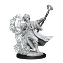 ボードゲーム 英語 アメリカ 海外ゲーム D&D Frameworks: Human Wizard Male - Unpainted and Unassembl...