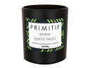 エネスコ Enesco 置物 インテリア 海外モデル アメリカ Enesco Izzy and Oliver Primitif Exotic Fruits Scented Jar Candle, 10 Ounce, Guavaエネスコ Enesco 置物 インテリア 海外モデル アメリカ
