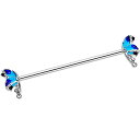 ボディキャンディー ボディピアス アメリカ 日本未発売 ウォレット Body Candy Womens 14G Stainless Steel Helix Ca...