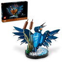 レゴ LEGO Icons Kingfisher Bird Model, Creative Set for Adults to Build and Displa...