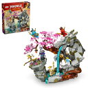 レゴ LEGO NINJAGO Dragon Stone Shrine, Build and Display Ninja Toy with 6 Ninja Ac...
