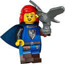 レゴ LEGO Collectable Minifigures Series 24 - Falconer with Stand and Accessories ...