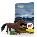 ナショナルジオグラフィック 知育玩具 科学 実験 NATIONAL GEOGRAPHIC NATIONAL GEOGRAPHIC Horse Audio Pla...