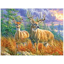 ジグソーパズル 海外製 アメリカ RoseArt - Abraham Hunter - Northern Whitetails - 300 Piece Jigs...