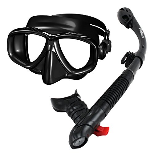 Ρ ޥ󥹥ݡ 285890-AB, Snorkeling Purge Mask and Dry Snorkel Combo SetΡ ޥ󥹥ݡ