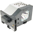 プロジェクターランプ ホームシアター テレビ 海外 輸入 TY-LA1000 Amazing Lamps TY-LA1000 / TYLA1000 Replac...