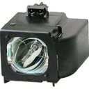 プロジェクターランプ ホームシアター テレビ 海外 輸入 BP96-01653A Generic Replacement Lamp - Replaces Sam...