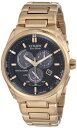 rv V`Y tA COf CO BL5483-55E Citizen Men's BL5483-55E Eco-Drive Perpetual Calendar Chronograph Watchrv V`Y tA COf CO BL5483-55E