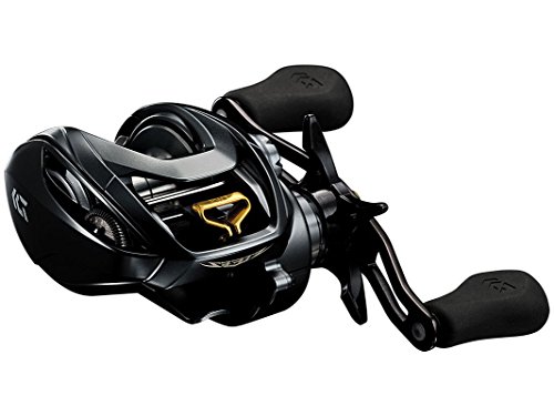 ꡼ Daiwa  ƻ եå *Steez Baitcasting Fishing Reel꡼ Daiwa  ƻ եå