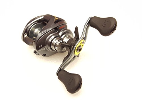 ꡼ Daiwa  ƻ եå *Steez Baitcasting Fishing Reel꡼ Daiwa ...