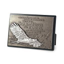 壁飾り インテリア タペストリー 壁掛けオブジェ 海外デザイン 20754 Lighthouse Christian Products Soar On Wing...
