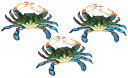 壁飾り インテリア タペストリー 壁掛けオブジェ 海外デザイン Charlotte International 6 inch Maryland Blue Crab Set of 3 Beach Tiki Bar Wall Decor壁飾り インテリア タペストリー 壁掛けオブジェ 海外デザイン