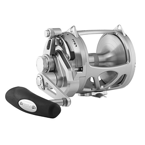 ꡼ ڥ Penn ƻ եå INT30VIWS Reels Saltwater Lever Drag PENN INT30VIWS International Leverdrag Conventional Reel 30 Sz, 5 BRG꡼ ڥ Penn ƻ եå INT30VIWS