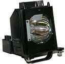 プロジェクターランプ ホームシアター テレビ 海外 輸入 915B403001 SW-LAMP Replacement TV Lamp 915B403001 R...