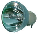 プロジェクターランプ ホームシアター テレビ 海外 輸入 Replacement for Light Bulb/LAMP 51432-BOO Projector...