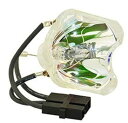プロジェクターランプ ホームシアター テレビ 海外 輸入 Replacement for Light Bulb/LAMP 103837 Projector TV...