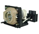 プロジェクターランプ ホームシアター テレビ 海外 輸入 Replacement for Light Bulb/LAMP 50079-OO Projector ...